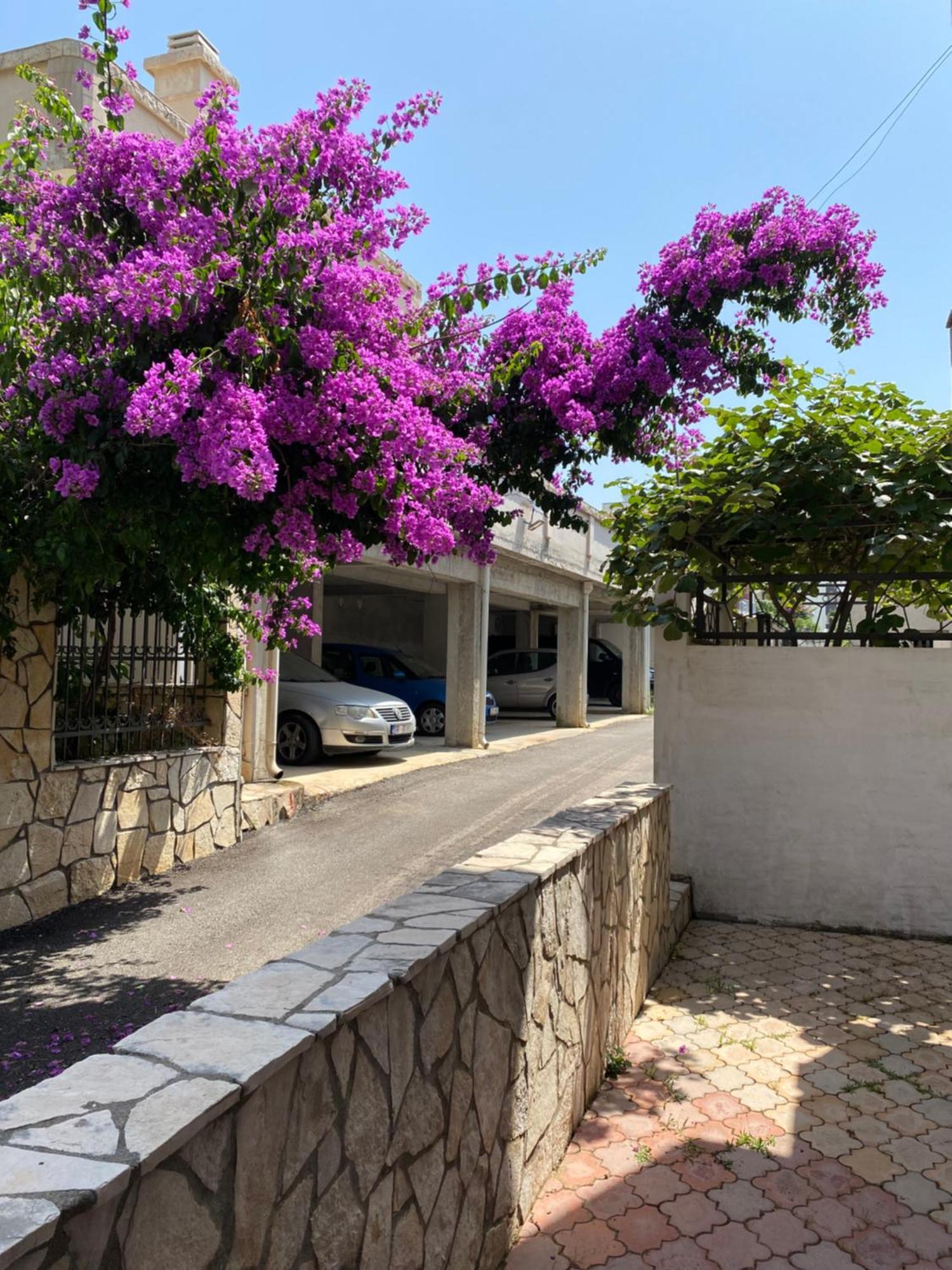 Apartments Vila Kurtagic 多布拉沃达 外观 照片